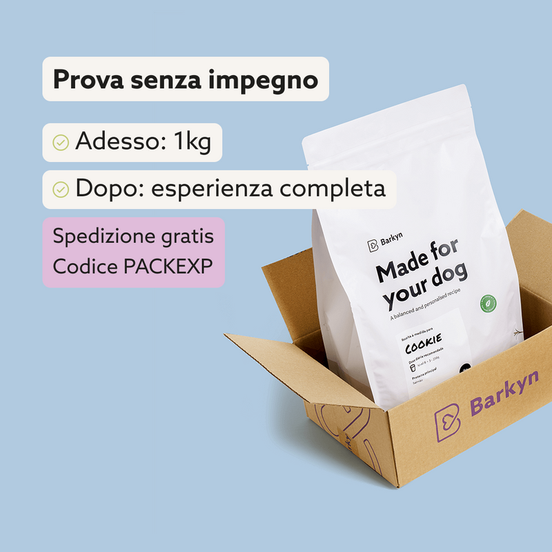 Pack di Esperienza