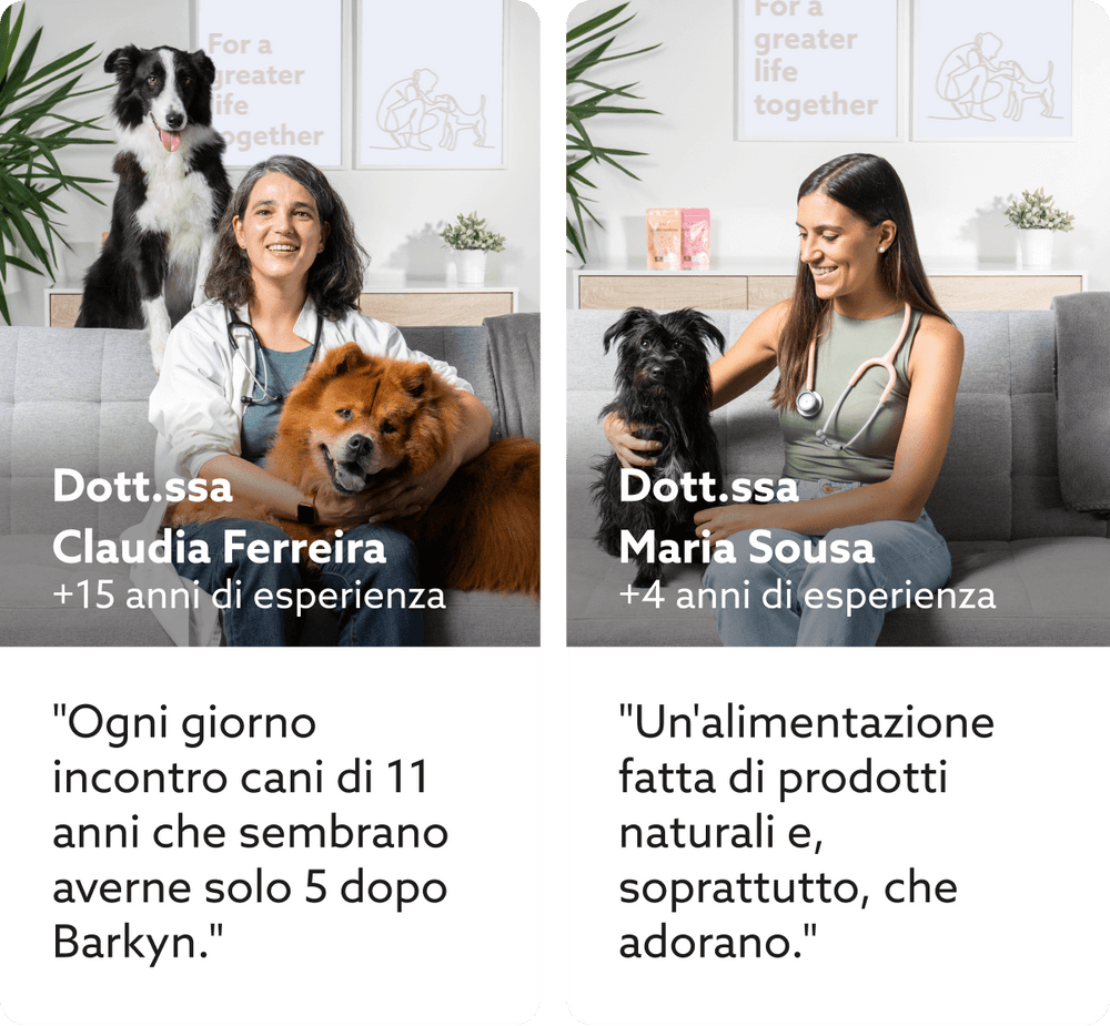 Cibo al pollo fresco per cani di piccola taglia - Barkyn