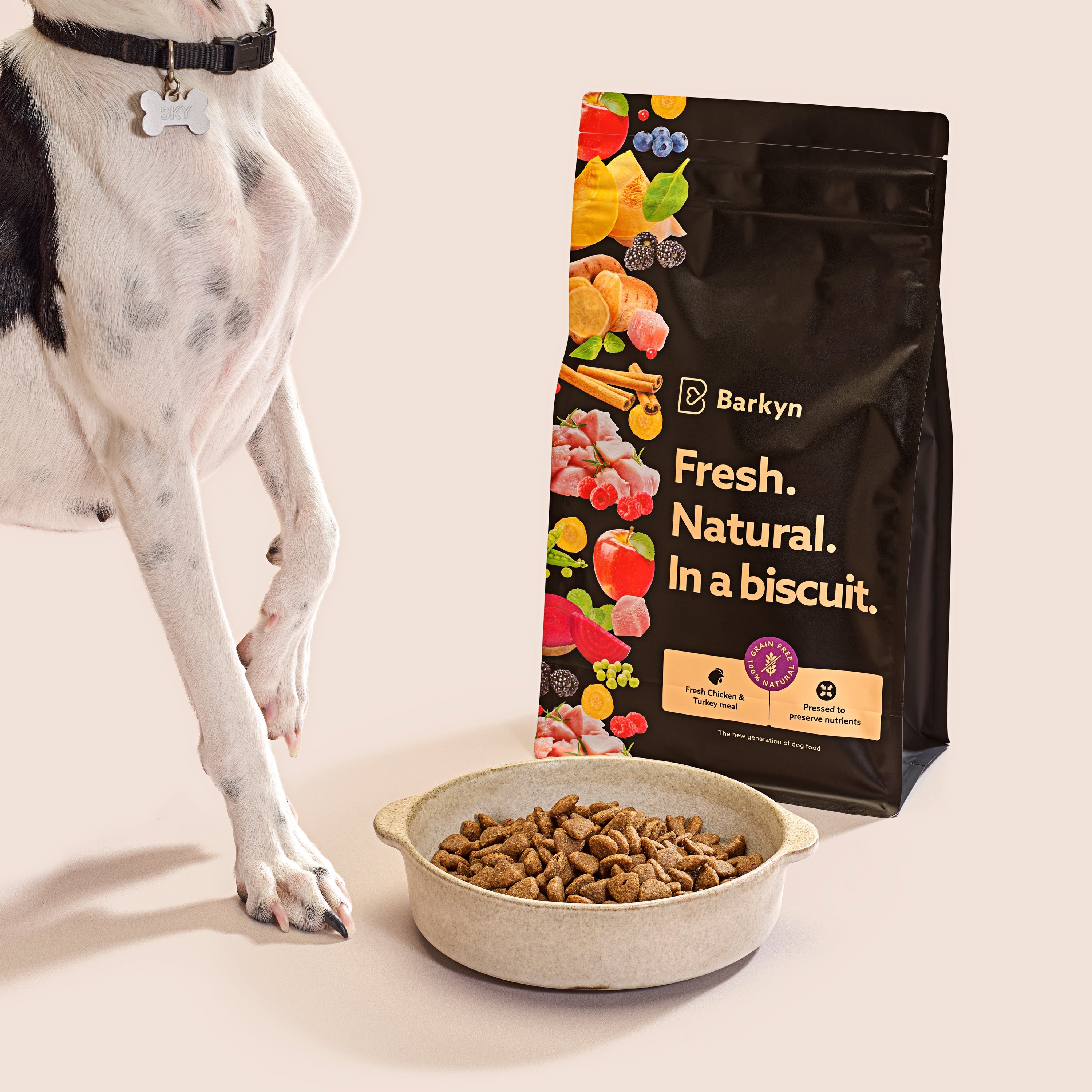 Cibo umido naturale per cani con salmone e verdure - Barkyn